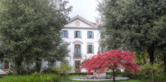 Analisi finanziaria relativa alla cessione del portafoglio Npl di Banca Ifis a fondi di investimento internazionali.
