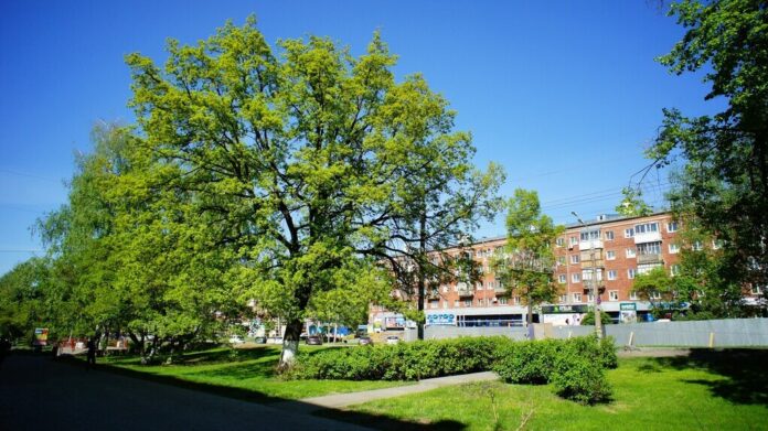 residential-area-green