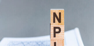 Analisi del sistema NPL in Italia tra Bankitalia e MEF