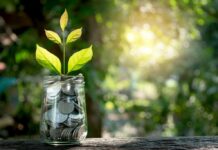 Banche etiche in forte crescita in Europa: nel 2023 hanno gestito attivi per €79 miliardi (+55% dal 2018) banca-etica-investimento