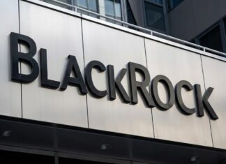 Private credit: crescono le tensioni nel mercato Blackrock-insegna