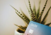 Revolut richiede la licenza bancaria negli Stati Uniti e nomina il nuovo CEO USA Revolut-card