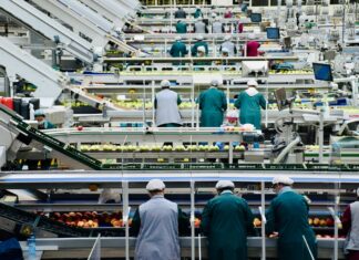 Credito bancario alle imprese: il Nord assorbe i due terzi dei prestiti, il Mezzogiorno resta ai margini industrial-factory-italy- manufacturing