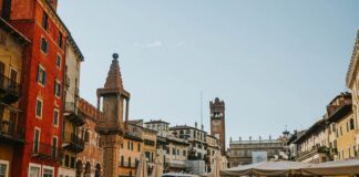 Analisi del rischio insolvenza delle imprese venete con dati economici e finanziari.