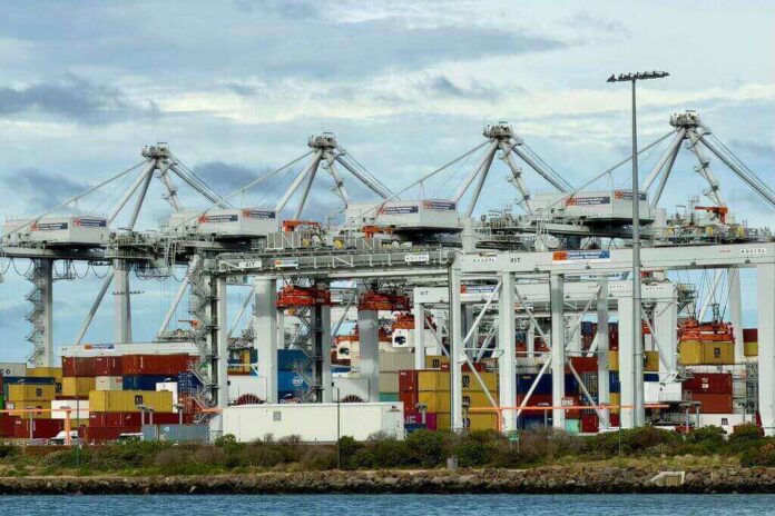 Area portuale e infrastrutture logistiche legate agli investimenti finanziati dai minibond emessi da Vezzani.